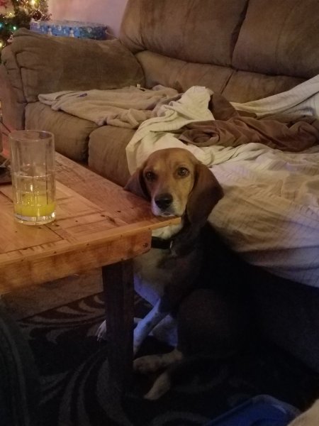20161213_201248.jpg