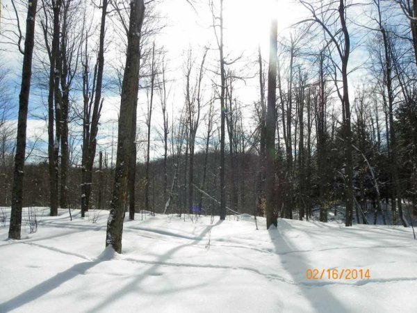 100_8591.JPG