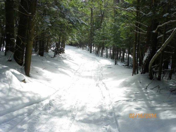 100_8594.JPG