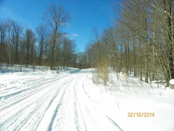 100_8595.JPG
