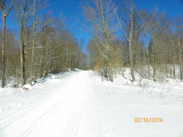 100_8596.JPG
