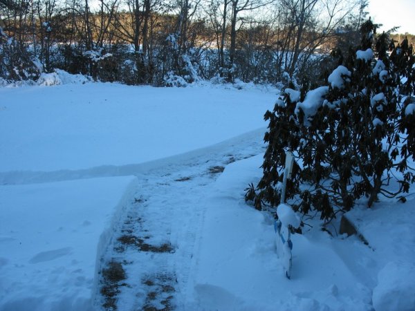 IMG_5088.JPG