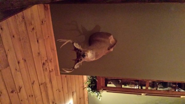 20131218_171717.jpg