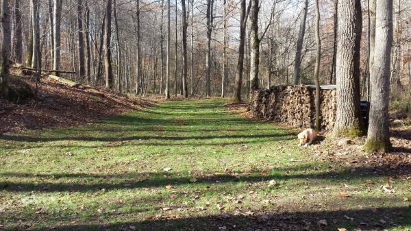 20131109_112726.jpg