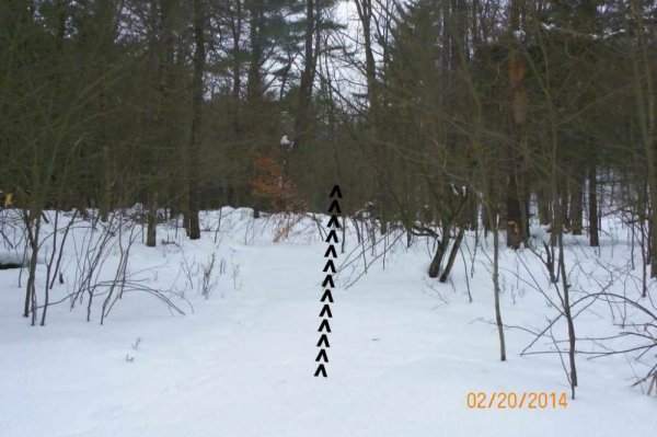 100_8624.JPG
