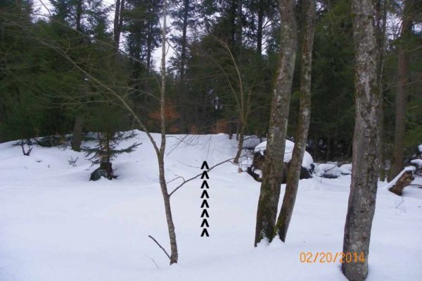 100_8625.JPG