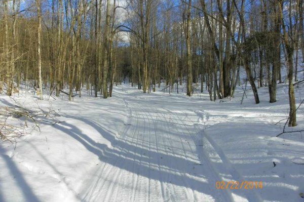 100_8636.JPG