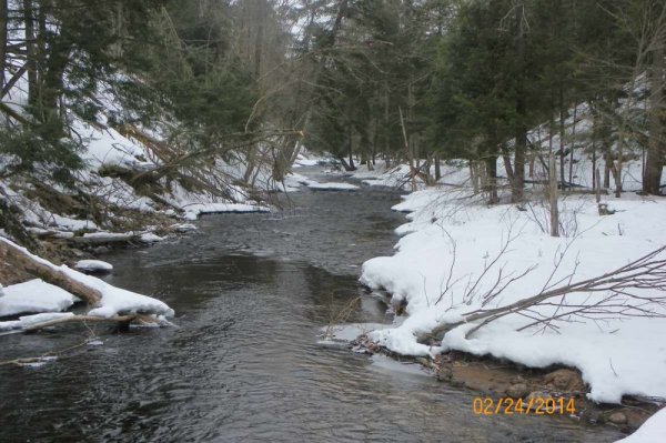 100_8645.JPG