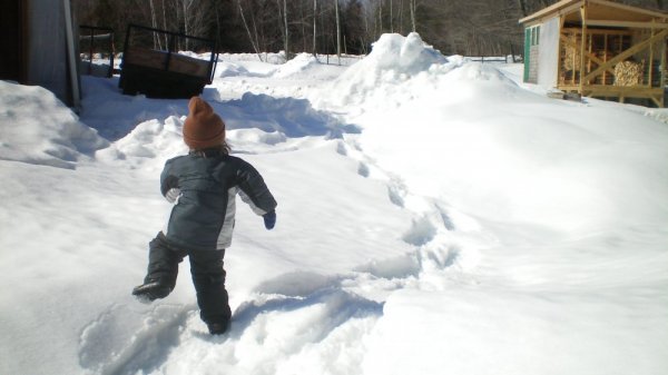 heading for the woodshed.jpg