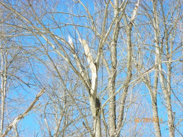 100_8649.JPG