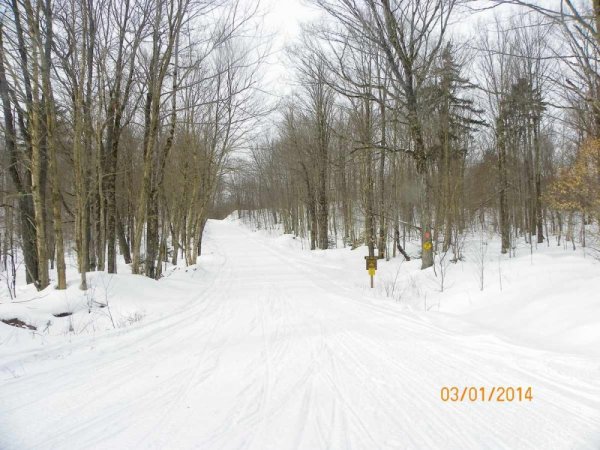 100_8672.JPG