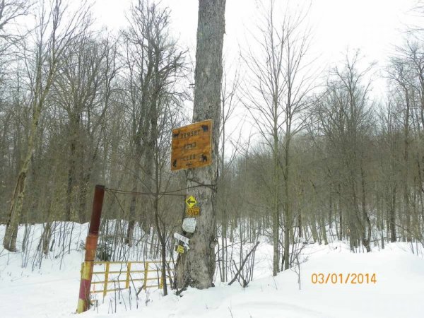100_8673.JPG