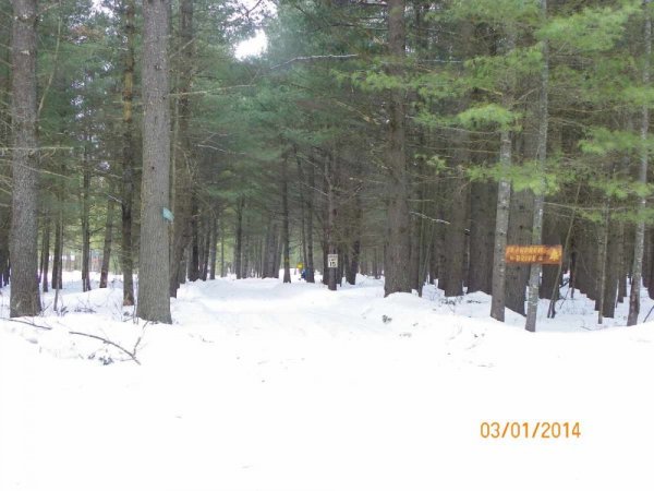 100_8674.JPG