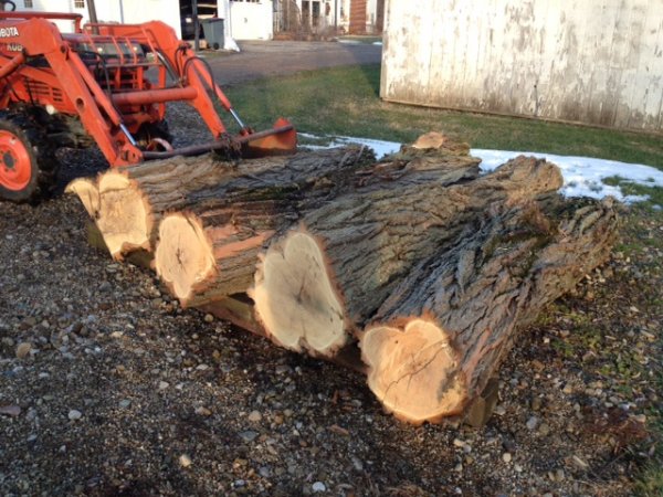 locust logs tractor.JPG