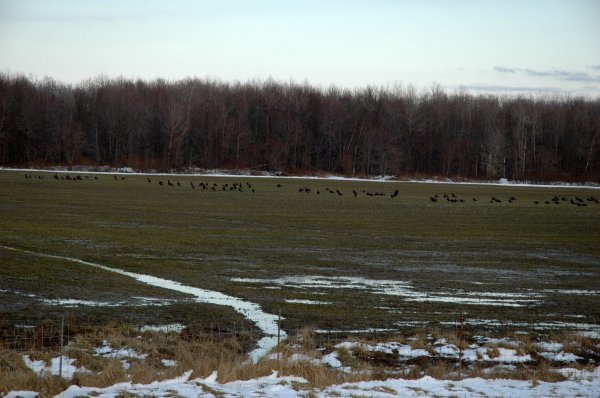 DSC_0002.JPG