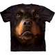 rottweiler-face-t-shirt-the-mountain.jpg