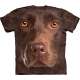 chocolate-lab-face-t-shirt-the-mountain.jpg