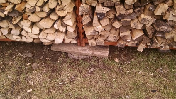 IMG_20170305_104951526.jpg