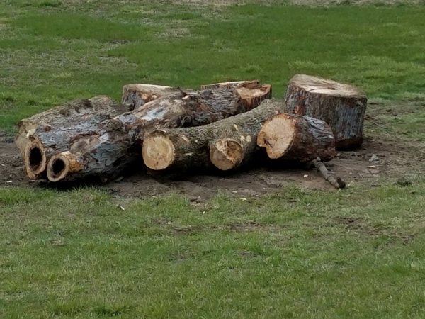 20170324_150915.jpg
