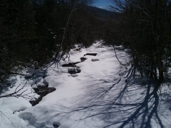 20170326_130854.jpg