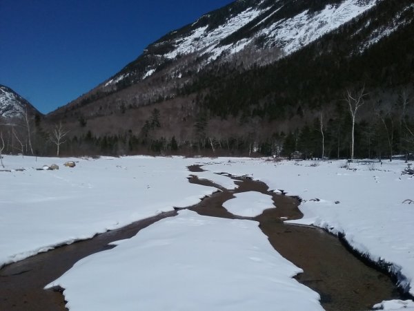 20170326_123203.jpg