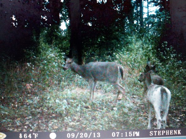 2013-10-28 00.09.14.jpg