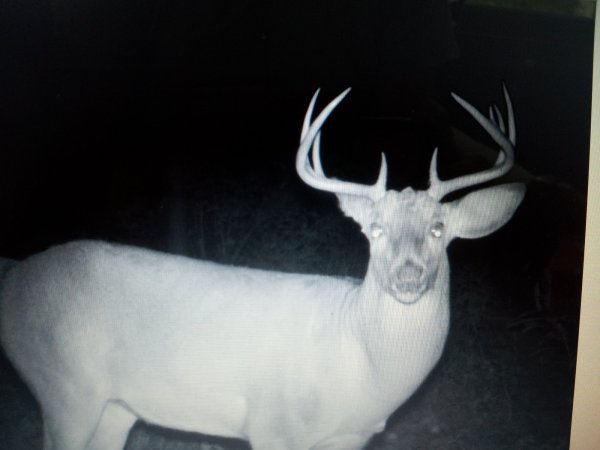 2013-10-26 10.02.02.jpg