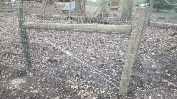 20170404_190814.jpg