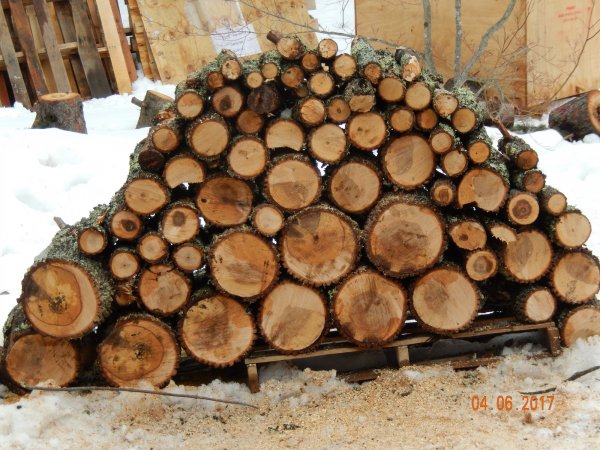 DSCN1514.JPG