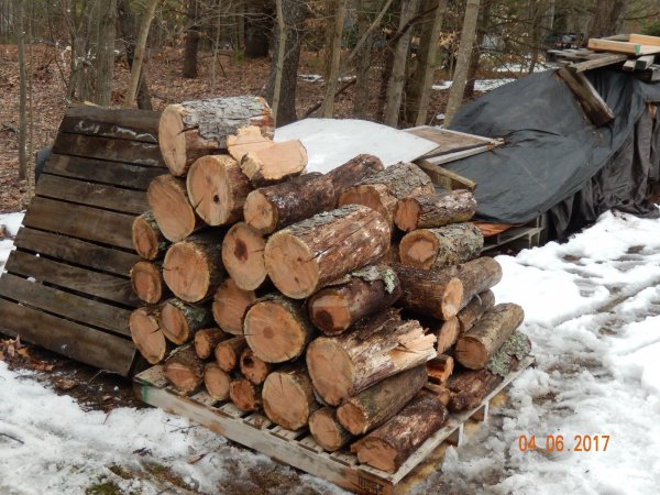 DSCN1515.JPG