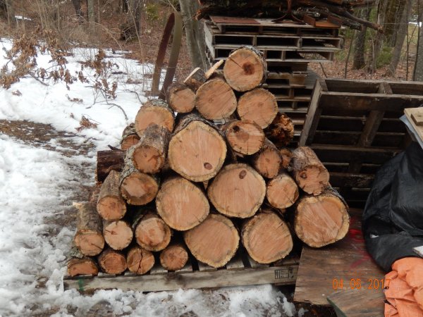 DSCN1516.JPG