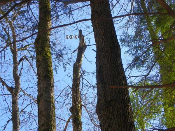 100_0119.JPG