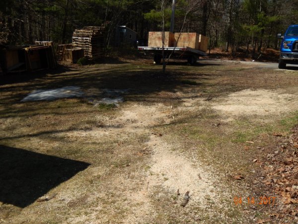 DSCN1517.JPG