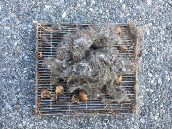 camry_cabin_air_filter_old.jpg