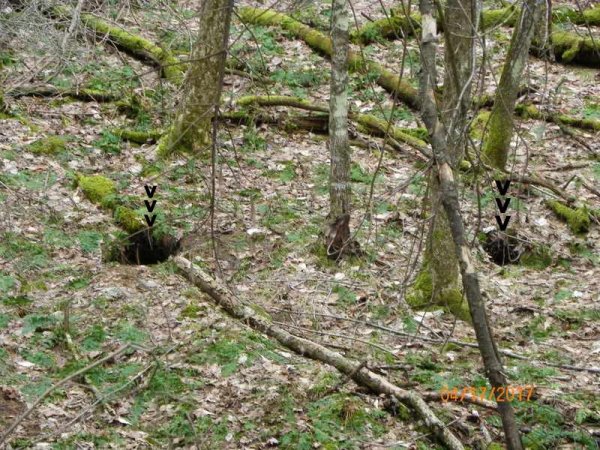 100_0135.JPG