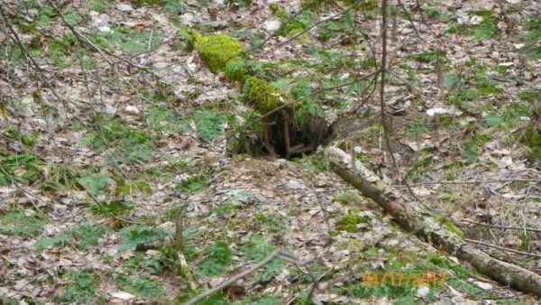 100_0136.JPG