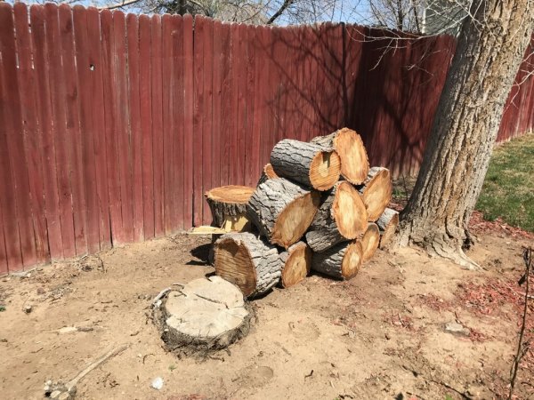 Woodpile.jpg