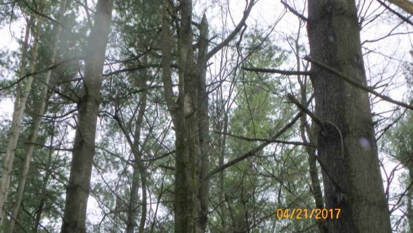 100_0152.JPG