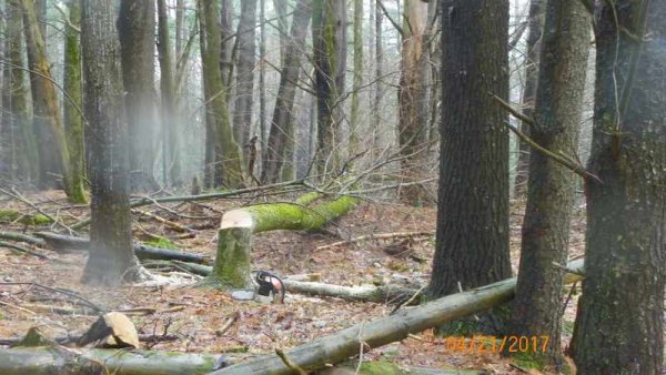 100_0154.JPG
