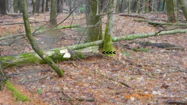 100_0156.JPG