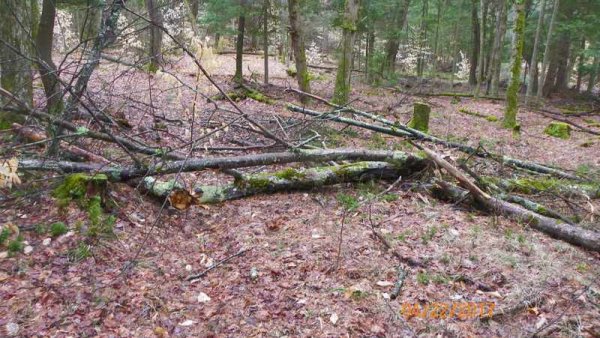 100_0161.JPG