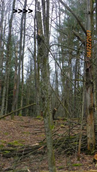 100_0170.JPG