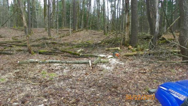 100_0172.JPG