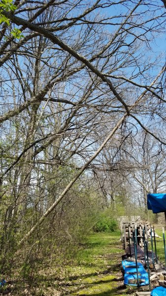 20170424_133100.jpg