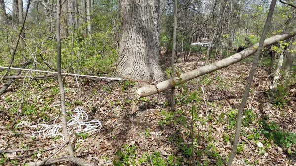 20170424_150032.jpg