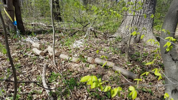 20170424_152818.jpg