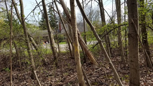 20170424_171524.jpg