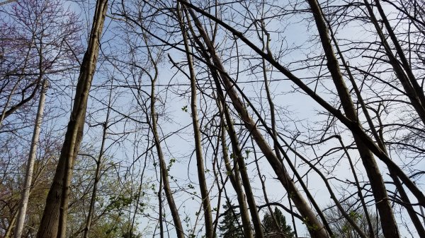 20170424_171517.jpg