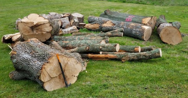 20170427_084117.jpg