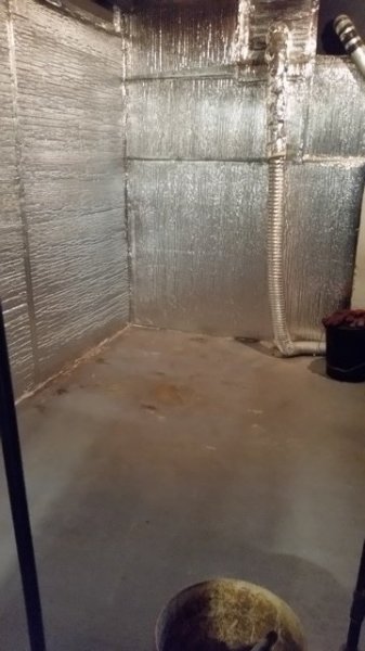 Bare basement floor-side.jpg